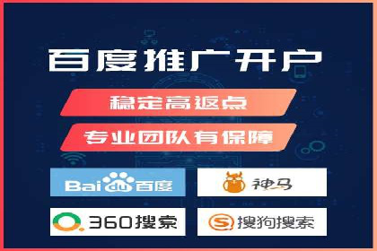 某电商平台的SEM推广实战经验